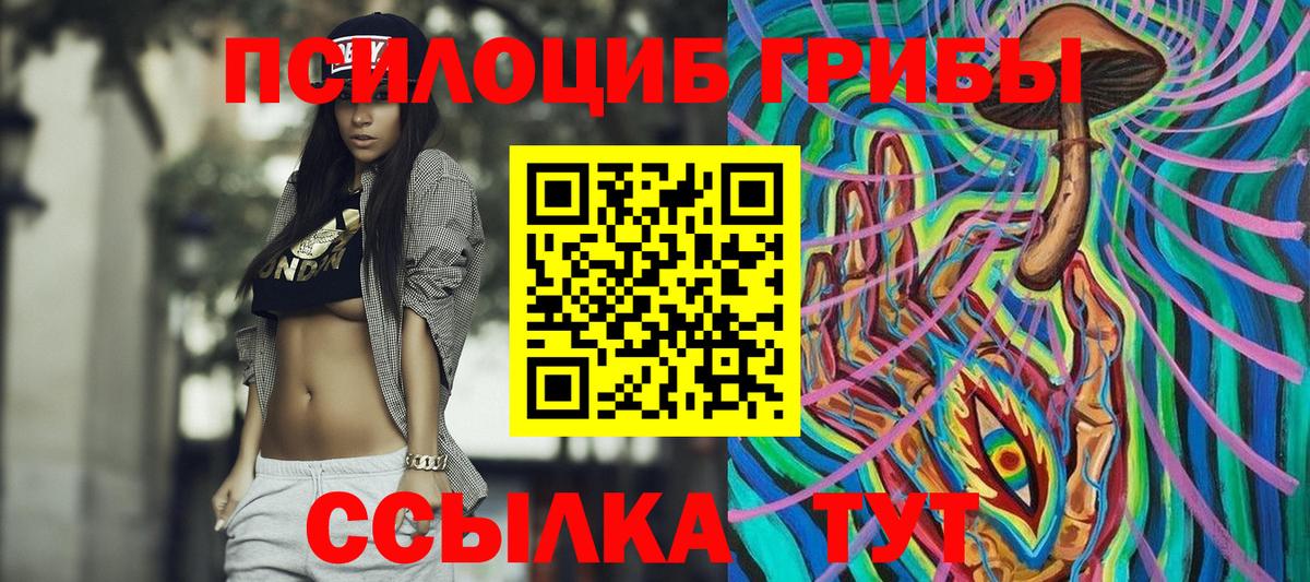 Ростов Великий  Галлюциногенные грибы Psilocybine cubensis  Вход с VPN 