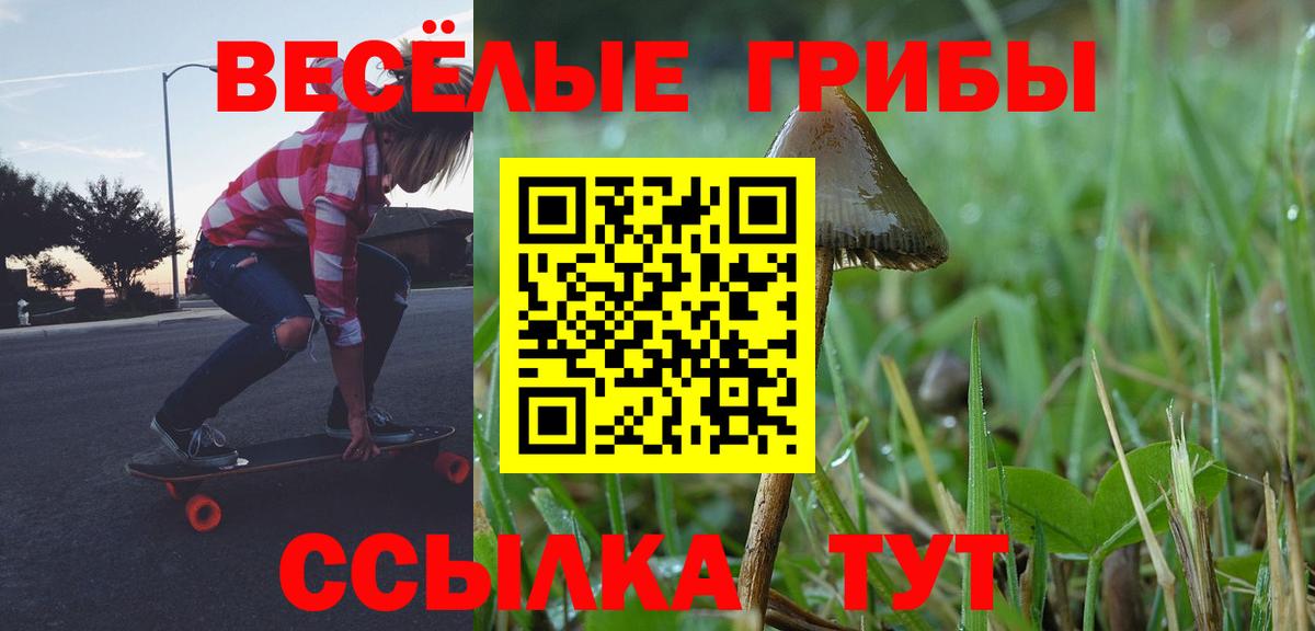 Псилоцибиновые грибы Magic Shrooms Ростов Великий